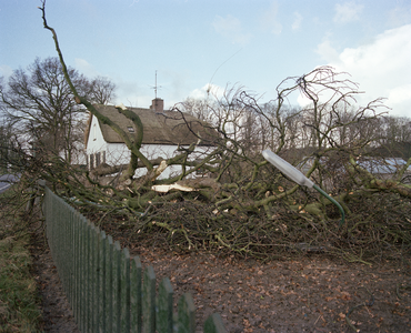 103416 Afbeelding van een door de storm van 25 januari 1990 omgewaaide boom bij het huis huis Provincialeweg 120-122 te ...